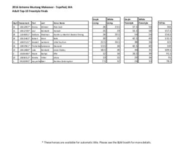 2016 Extreme Mustang Makeover - Topsfied, MA Adult Top-10 Freestyle FInals Hip # Freezemark  First