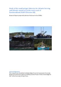 Neopterygii / Fish / Clupeidae / Fisheries science / Oily fish / Fishing nets / Fishing industry / Mackerel / Seine fishing / Fish stock / Northwest Atlantic Fisheries Organization / Overfishing