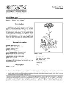 Fact Sheet FPS-11  October, 1999 Achillea spp.1 Edward F. Gilman, Terry Delvalle2