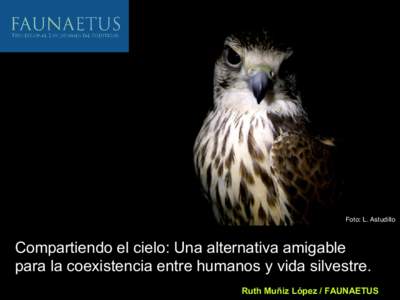 Foto: L. Astudillo  Compartiendo el cielo: Una alternativa amigable para la coexistencia entre humanos y vida silvestre. Ruth Muñiz López / FAUNAETUS