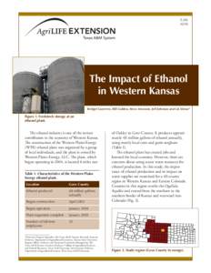 E[removed]The Impact of Ethanol in Western Kansas Bridget Guerrero, Bill Golden, Steve Amosson, Jeff Johnson and Lal Almas*