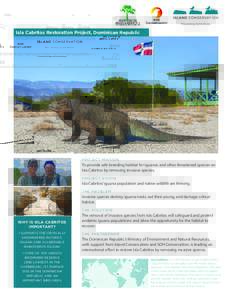 Iguanidae / Cyclura / Rhinoceros iguana / Iguana / Island Conservation / Lake Enriquillo / Endangered species / Cyclura ricordi
