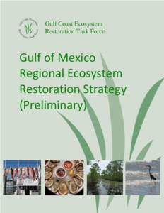 Gulf of Mexico Regional Ecosystem Restoration Strategy (Preliminary)