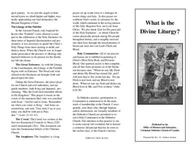 gical journey. As we join the angels in their eternal hymn we climb higher and higher, mystically approaching our final destination: the Blessed Kingdom of God. The Liturgy of the Faithful  In the Ancient Church, only ba