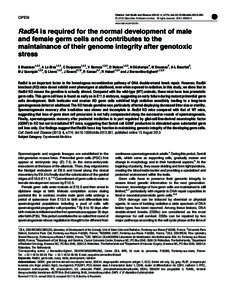 Rad54 is required for the normal development of male and female germ cells and contributes to the maintainance of their genome integrity after genotoxic stress