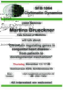 SFB 1064 Chromatin Dynamics Joint Seminar Martina Brueckner Yale School of Medicine