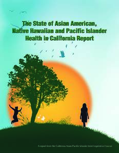 A report from the California Asian Pacific Islander Joint Legislative Caucus  Contents 2