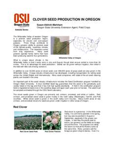 Microsoft Word - CloverSeedProduction2_Web_.doc