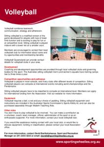 SWI-054 Volleyball Factsheet