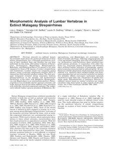 Morphometric analysis of lumbar vertebrae in extinct Malagasy strepsirrhines