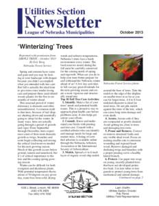 Utilities Section  Newsletter League of Nebraska Municipalities  October 2013