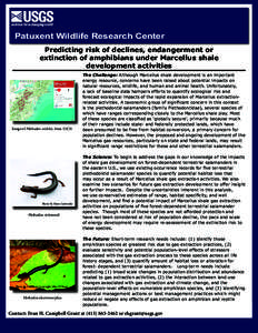 Patuxent Wildlife Research Center Predicting risk of declines, endangerment or extinction of amphibians under Marcellus shale development activities  Range of Plethodon wehrlei, from IUCN