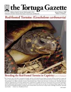 the Tortuga Gazette California Turtle & Tortoise Club Founded in 1964 Dedicated to Turtle & Tortoise Preservation, Conservation and Education January/February 2008 Volume 44, Number 1