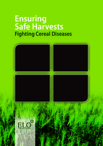Ensuring Safe Harvests Fighting Cereal Diseases  Pantone 390