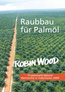 Raubbau für Palmöl Tropenwald-Spezial Recherche in Indonesien 2009 Foto: Save our Borneo