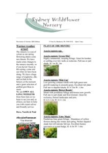 Newsletter #2 October 2008 Edition  Warmer weather at last! The nursery is a sea of colour as our spring