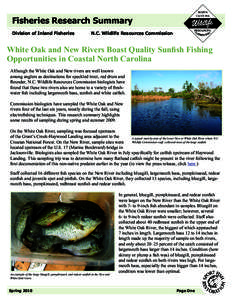 Fisheries Research Summary Division of Inland Fisheries N.C. Wildlife Resources Commission  White Oak and New Rivers Boast Quality Sunfish Fishing