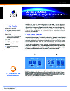 SOLUTION BRIEF  Cluster Solutions for Hybrid Storage Environments  Key Benefits