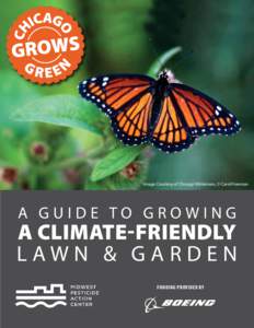 Chicago_Grows_Green_Guide.pdf