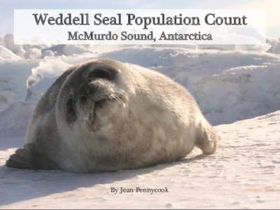 Weddell Seal Population Count McMurdo Sound, Antarctica By Jean Pennycook  McMurdo Sound is about 35 miles long and wide and surrounded by the Ross