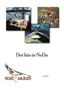 Det här är NeDa  April 2005