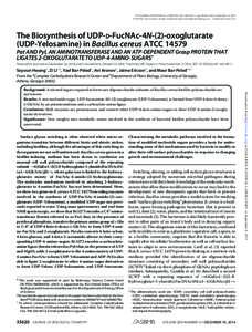 THE JOURNAL OF BIOLOGICAL CHEMISTRY VOL. 289, NO. 51, pp –35632, December 19, 2014 © 2014 by The American Society for Biochemistry and Molecular Biology, Inc. Published in the U.S.A. The Biosynthesis of UDP-D-F