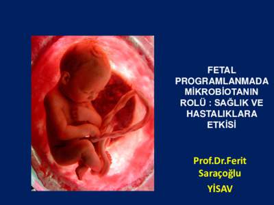 FETAL PROGRAMLANMADA MİKROBİOTANIN ROLÜ : SAĞLIK VE HASTALIKLARA ETKİSİ