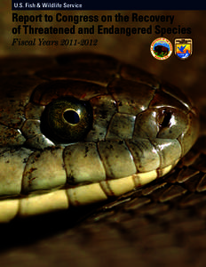 U.S. Fish & Wildlife Service  Report to Congress on the Recovery of Threatened and Endangered Species Fiscal Years[removed]