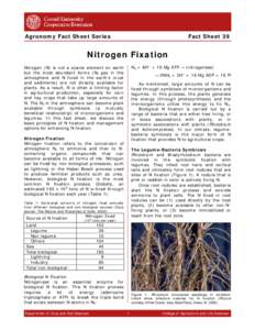 Rhizobiales / Microbiology / Symbiosis / Rhizobia / Nitrogen fixation / Legume / Nitrogen cycle / Bradyrhizobium / Cover crop / Biology / Nitrogen metabolism / Soil biology