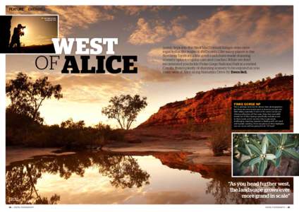 FEATURE  EWEN BELL n Last light on the Larapinta Trail