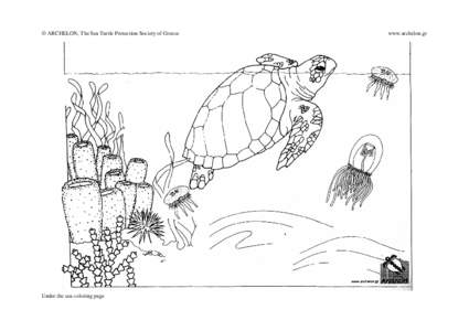 © ARCHELON, The Sea Turtle Protection Society of Greece  Under the sea coloring page www.archelon.gr