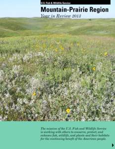 U.S. Fish & Wildlife Service  Mountain-Prairie Region Year in Review 2013