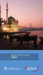 Market entry Guide TURKEY 2  1