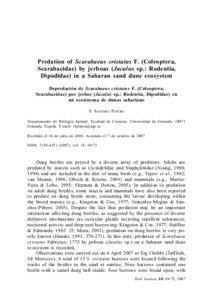 Predation of Scarabaeus cristatus F. (Coleoptera, Scarabaeidae) by jerboas (Jaculus sp.: Rodentia, Dipodidae) in a Saharan sand dune ecosystem