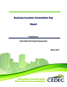 Business Incubator Consultation Day Report Presented by: Noah Redler NR Project Development