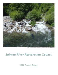 Salmon / Klamath National Forest / Six Rivers National Forest / Klamath Mountains / Wild and Scenic Rivers of the United States / Klamath River / SPAWN / Chinook salmon / Atlantic salmon / Somalia Reconciliation and Restoration Council / Fire safe councils