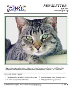 EBay / PayPal / No-kill shelter / Cat / Black cat / Sanctuary / Culture / Electronic commerce / Zoology