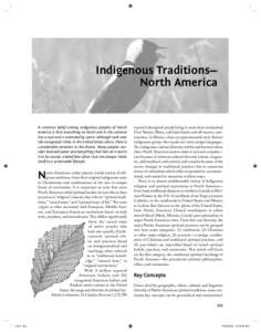 Indigenous Traditions— North America A common belief among indigenous peoples of North America is that everything on Earth and in the universe has a soul and is animated by spirit—although with over