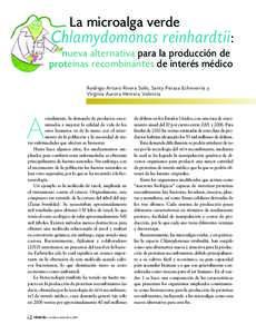 La microalga verde  Chlamydomonas reinhardtii : nueva alternativa para la producción de proteínas recombinantes de interés médico Rodrigo Arturo Rivera Solís, Santy Peraza Echeverría y