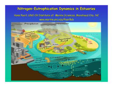Nutrient dynamics in estuarine and coastal waters  Hans W. Paerl, Univ. of North Carolina at Chapel Hill, Instit. of  Marine Sciences, Morehead City, NCwww.marine.unc.edu/Paerllab