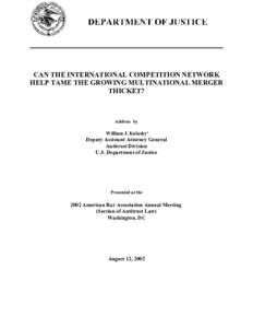 Can the International Competition Network Help Make Tame the Growing Multinational Merger Thicket?