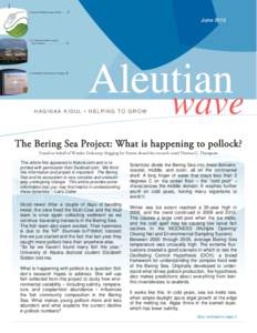 Bering Sea / Aleutian Islands / Forage fish / Aleut people / Energy conservation / Pribilof Islands / Geography of Alaska / Alaska / Geography of the United States