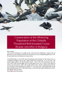 Conservation of the Wintering Population of the Globally Threatened Red-breasted Goose (Branta ruficollis) in Bulgaria Dear friends, This is the first electronic newsletter of the “Safe Ground for Redbreasts” project