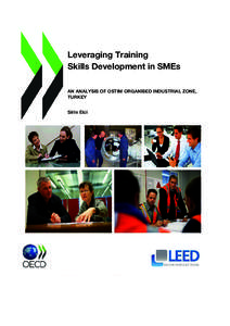 Leveraging Training Skills Development in SMEs AN ANALYSIS OF OSTIM ORGANISED INDUSTRIAL ZONE, TURKEY Sirin Elci