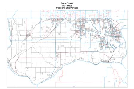 Sarpy County 200 Census Tracts and Block Groups[removed]