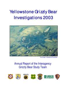 Greater Yellowstone Ecosystem / Western United States / Scavengers / Grizzly bear / Brown bear / Shoshone National Forest / Yellowstone National Park / The Bear / YNP / Wyoming / Bears / Zoology