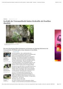 Im Kalk der Verenaschlucht haben Krokodile als Fossilien überlebt - Solothurn Stadt - Solothurn - Solothurner Zeitung  EINSIEDELEI[removed]:49