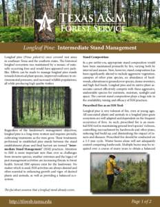 Longleaf Pine: Intermediate Stand Management Longleaf pine (Pinus palustris) once covered vast areas in southeast Texas and the southern states. The historical longleaf ecosystem was maintained by a mosaic of naturally o