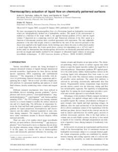 PHYSICS OF FLUIDS  VOLUME 15, NUMBER 5 MAY 2003