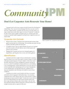 www.nysipm.cornell.edu/factsheets/buildings/carpenter_ants.pdf[removed]Community